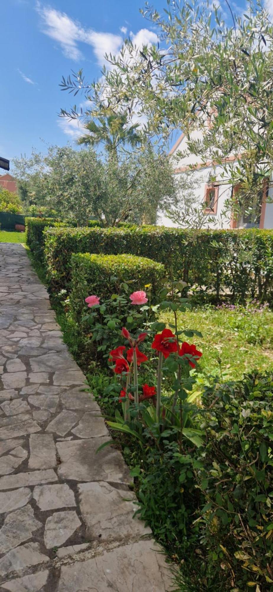 Corfu Studio 4U Róda Kültér fotó